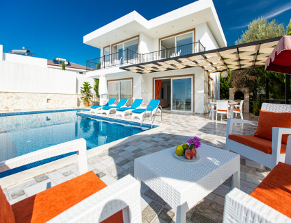Villa Eslem Üzümlü Resim