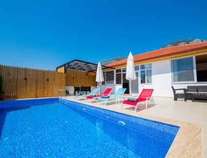 Villa Yaz-1 Resim