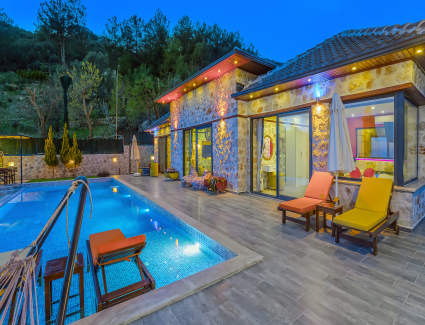 Villa Aras Resim
