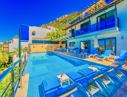 Villa Elmas Resim