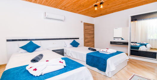 Villa Yaz-1 1 Resim
