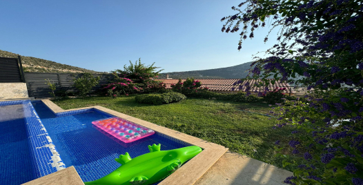 Villa Diriliş 1 Resim
